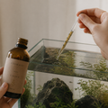 Kit Aquascape