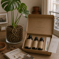 Kit Débutant LECA