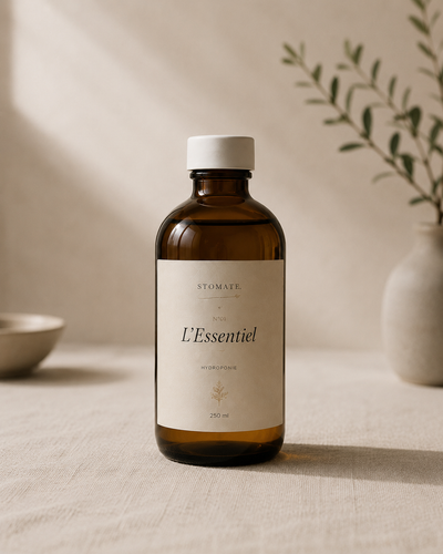 L'Essentiel